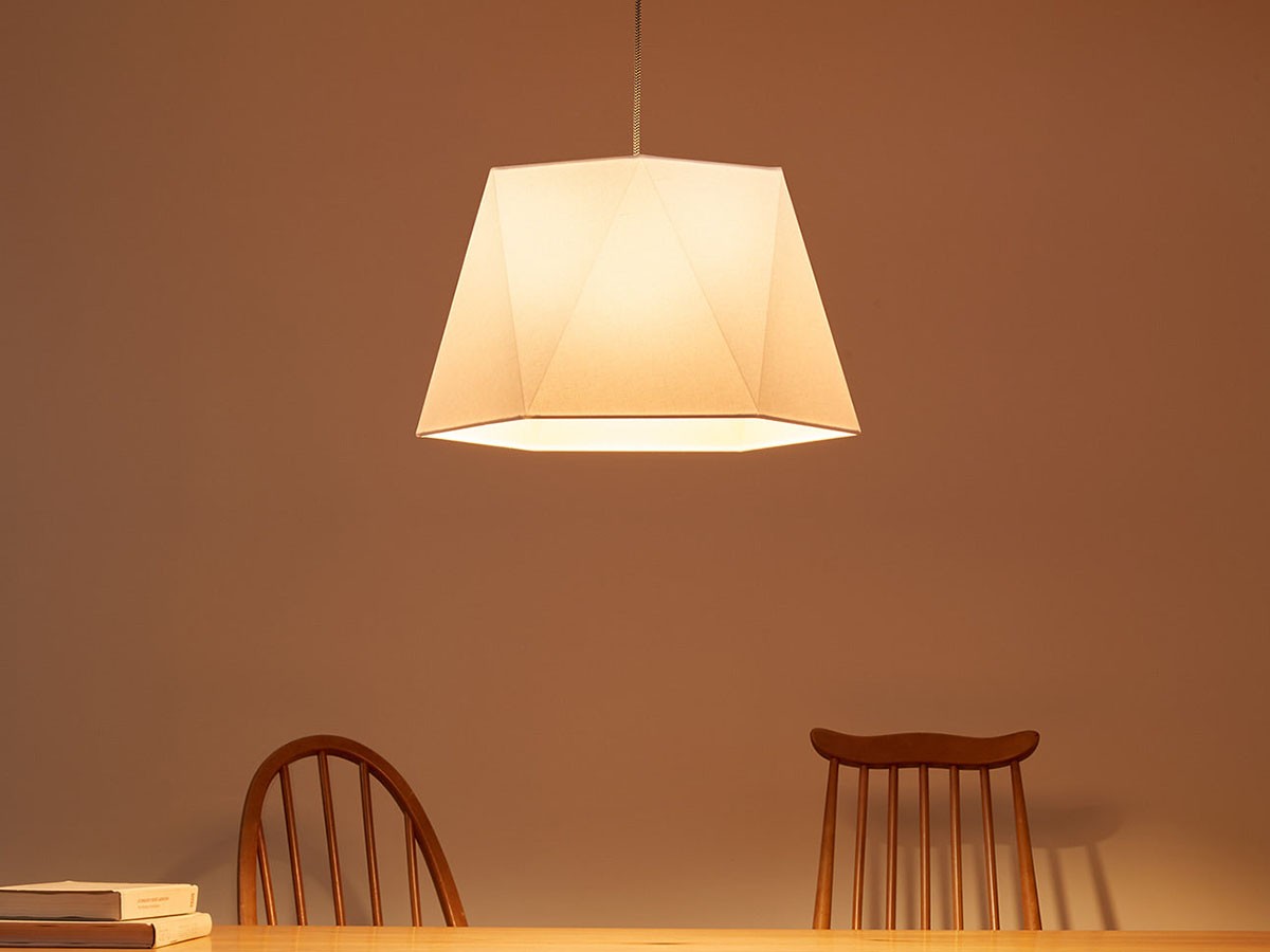 Pendant Light / ペンダントライト #104655 （ライト・照明 > ペンダントライト） 8