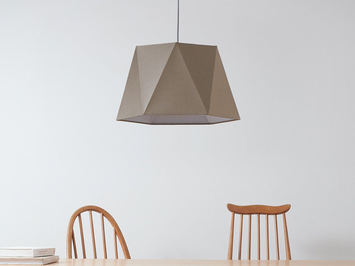 Pendant Light / ペンダントライト #104655 （ライト・照明 > ペンダントライト） 9
