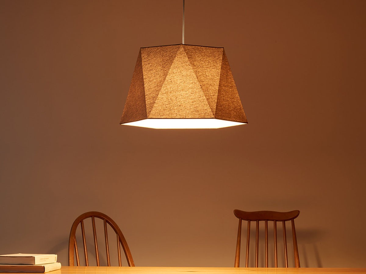 Pendant Light / ペンダントライト #104655 （ライト・照明 > ペンダントライト） 10