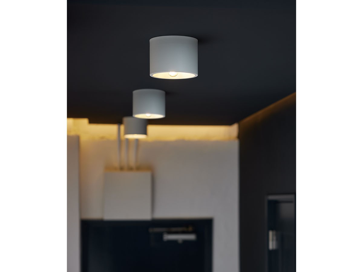 Ceiling Lamp / シーリングランプ #113696 （ライト・照明 > シーリングライト） 6