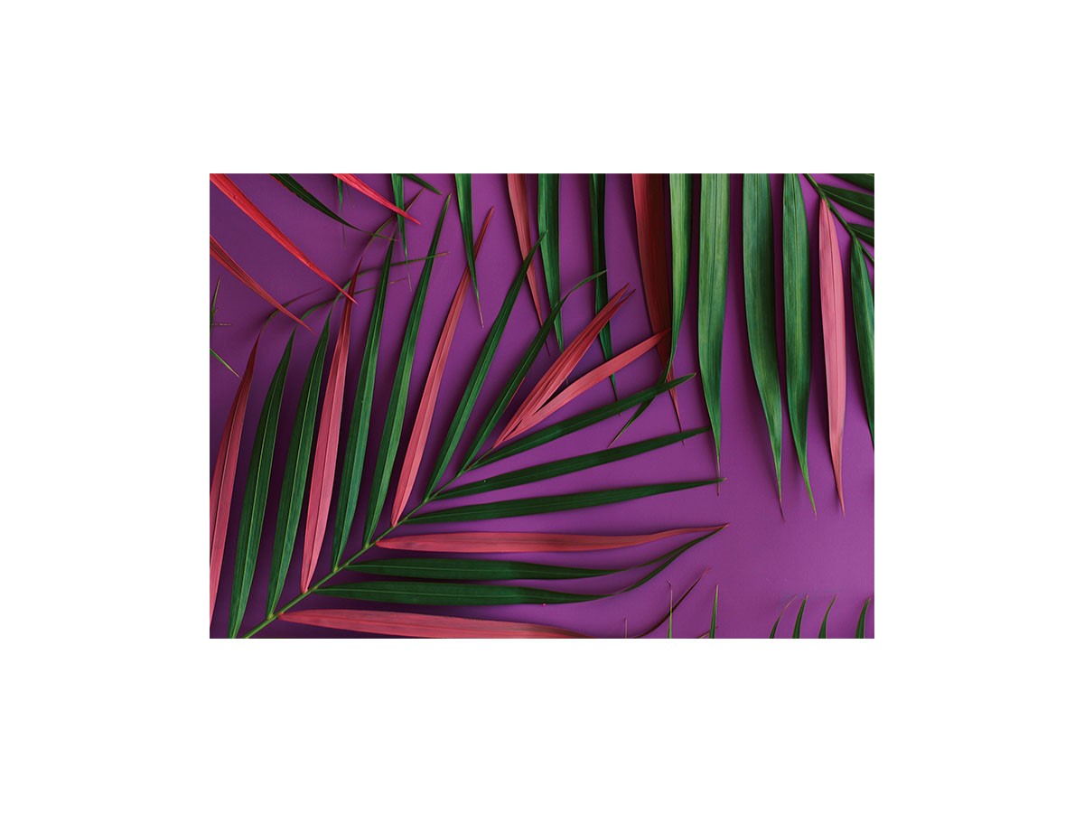 Botanic Palm Pink