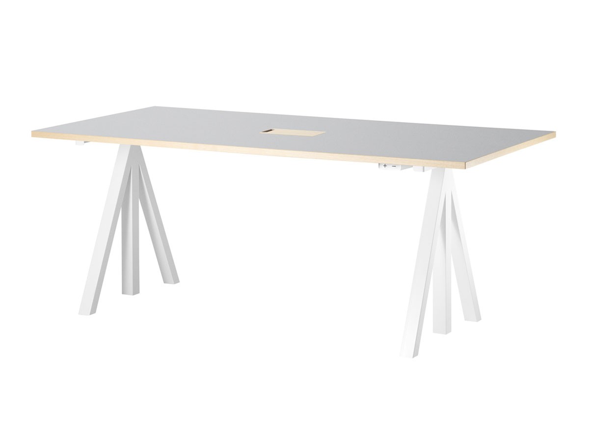 String Furniture Works Sit-stand Meeting Table / Electrical / ストリングファニチャー ワークス 昇降式ミーティングテーブル リノリウム天板 （テーブル > 昇降式テーブル） 1