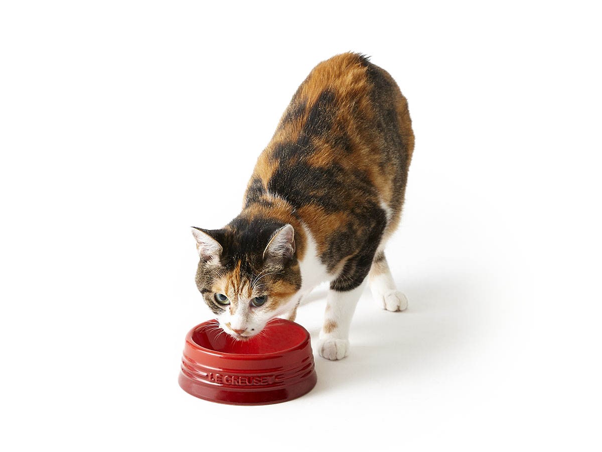 Le Creuset Pet Bowl S / ル・クルーゼ ペットボール S （雑貨・その他インテリア家具 > ペット用品・家具） 1