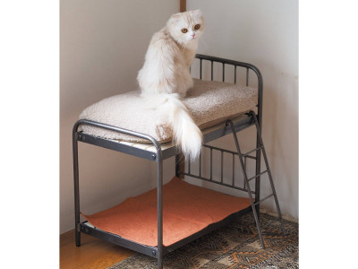 JOURNAL STANDARD FURNITURE SENS CHAIR / ジャーナル