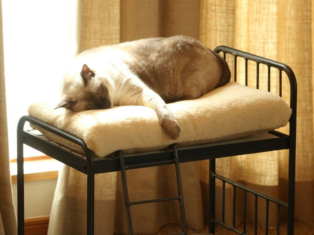 SENS BUNK BED for CAT 20