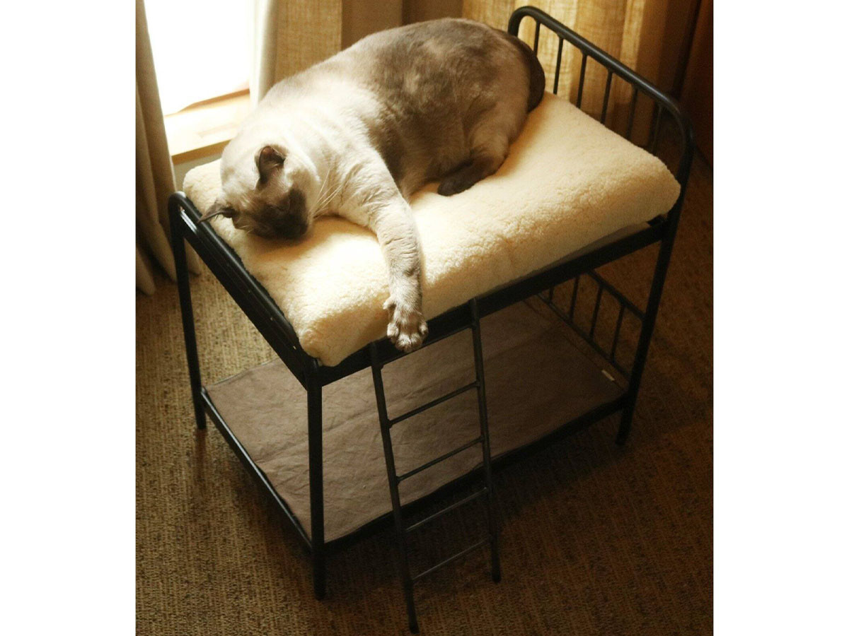 SENS BUNK BED for CAT 18