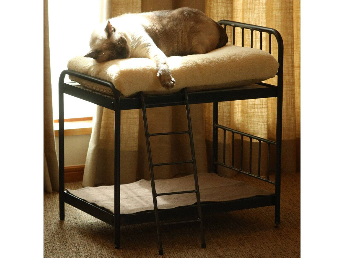 SENS BUNK BED for CAT 17