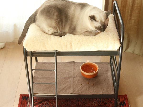 SENS BUNK BED for CAT 27