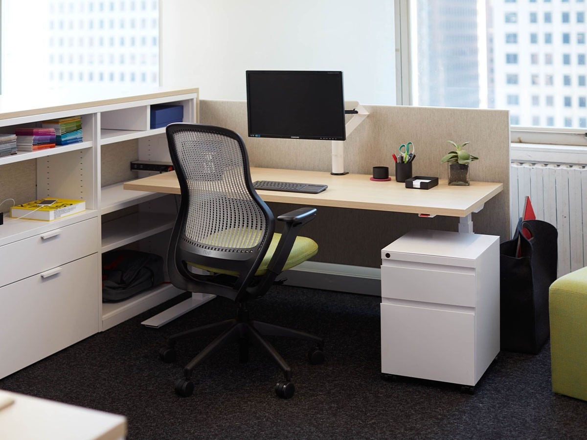 Knoll Office ReGeneration Chair / ノルオフィス リジェネレーション チェア ハイパフォーマンス肘 （チェア・椅子 > オフィスチェア・デスクチェア） 26
