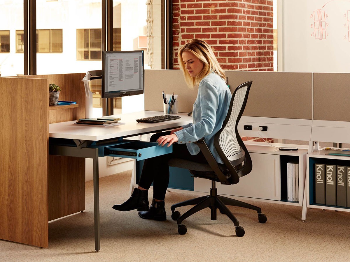 Knoll Office ReGeneration Chair / ノルオフィス リジェネレーション チェア ハイパフォーマンス肘 （チェア・椅子 > オフィスチェア・デスクチェア） 21