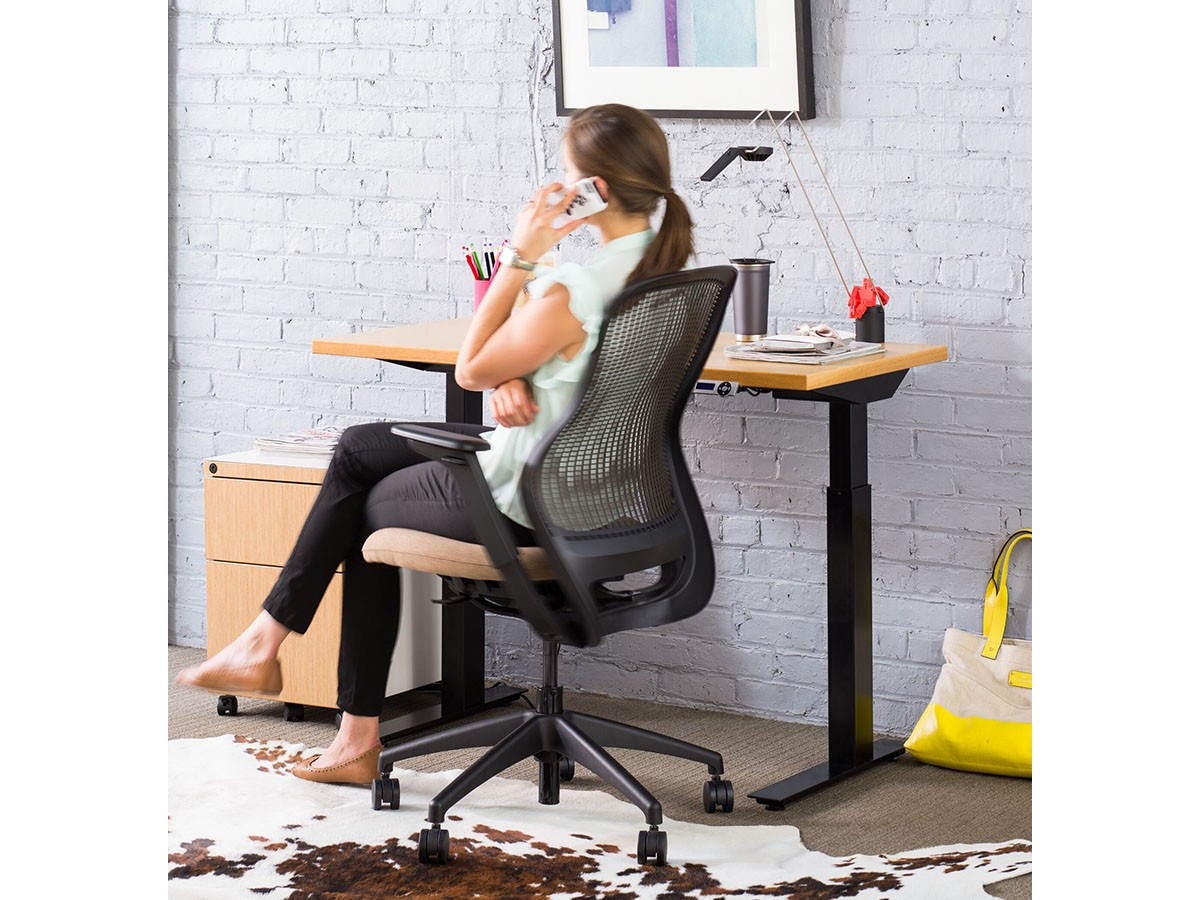 Knoll Office ReGeneration Chair / ノルオフィス リジェネレーション チェア ハイパフォーマンス肘 （チェア・椅子 > オフィスチェア・デスクチェア） 22