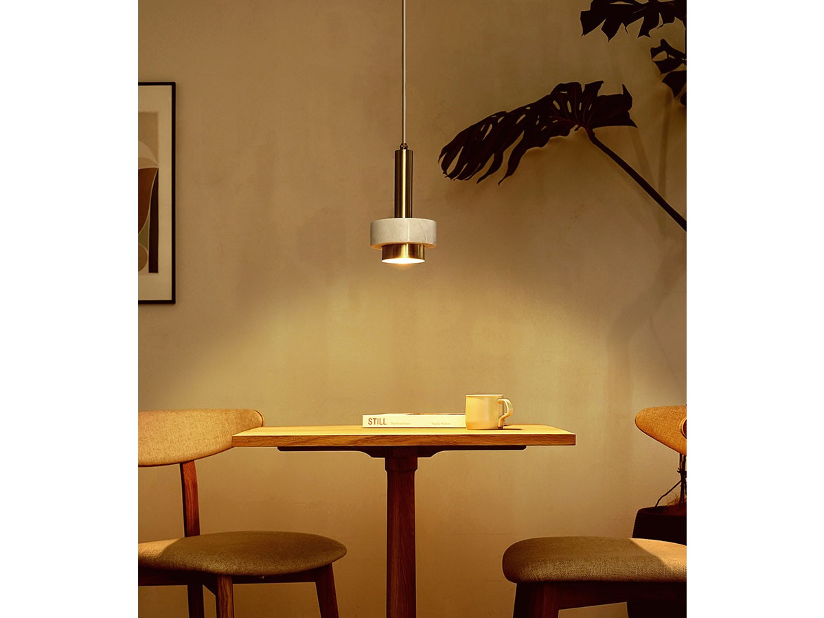 MARBRING PENDANT LAMP / マーブリングペンダント ランプ （ライト・照明 > ペンダントライト） 4