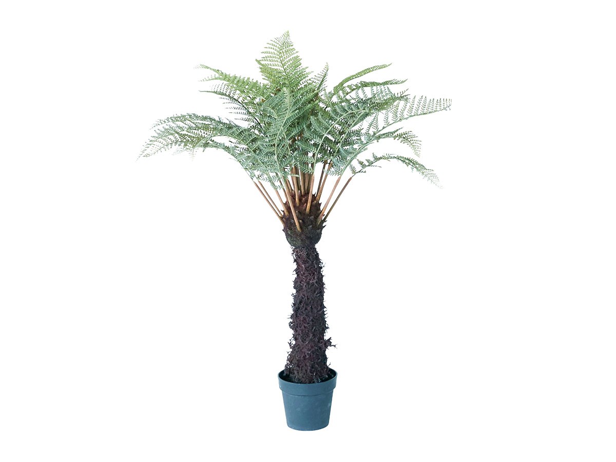 BROWN Dicksonia Pot / ブラウン ディクソニア ポット 122 (花器・プランター・グリーン > フェイクグリーン・フェイクフラワー) 1