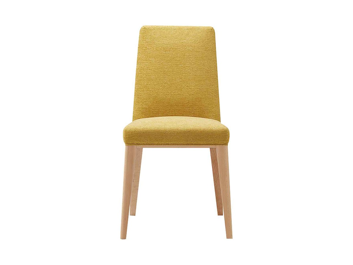 ABORD CHAIR / アボール チェア W007 （チェア・椅子 > ダイニングチェア） 10