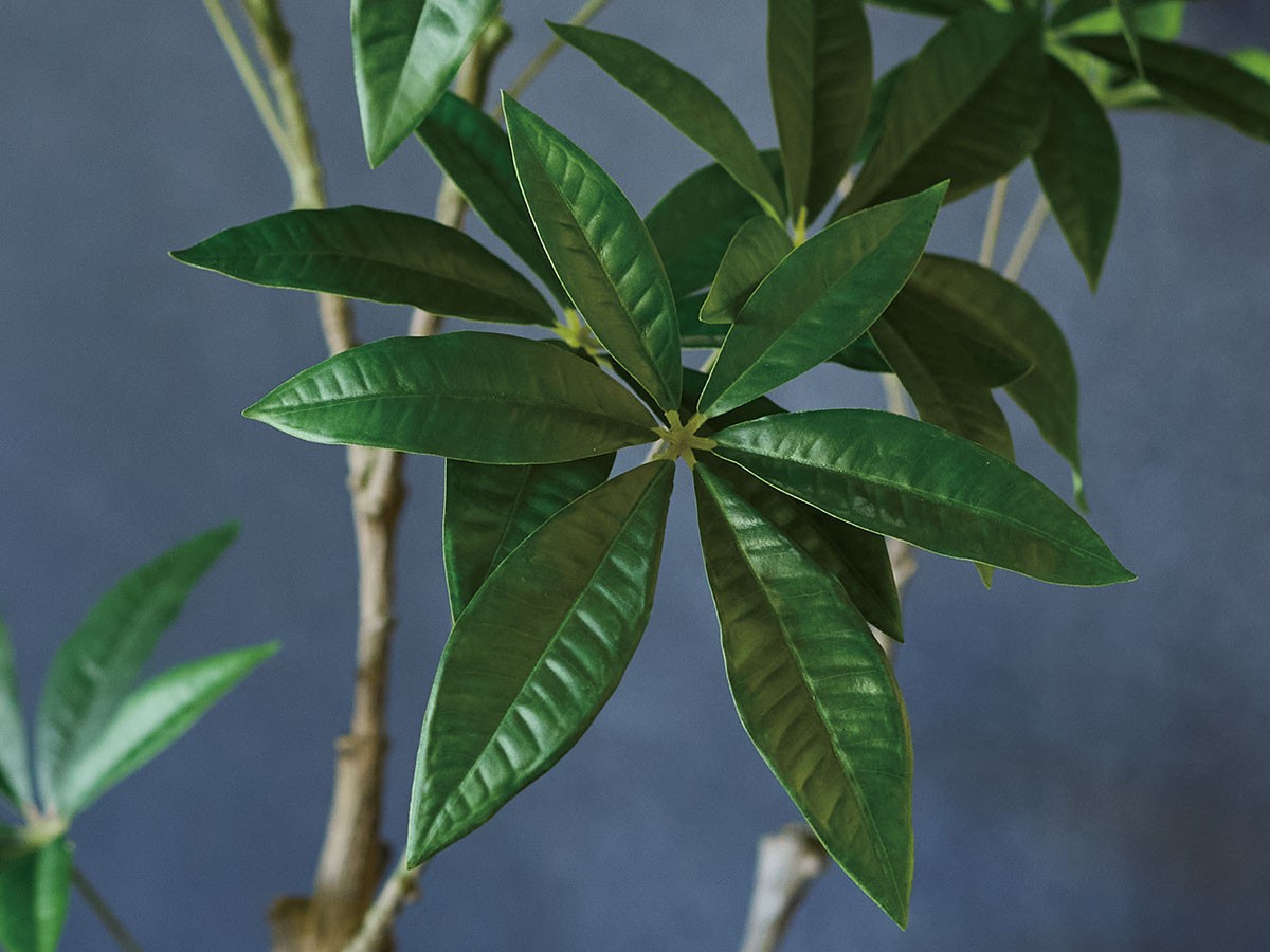 BROWN Pachira Pot / ブラウン パキラ  ポット 90 （花器・プランター・グリーン > フェイクグリーン・フェイクフラワー） 3