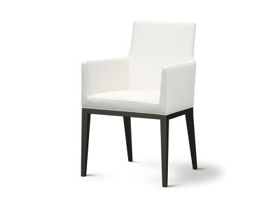 FLYMEe Noir DINING ARM CHAIR / フライミーノワール ダイニングアーム