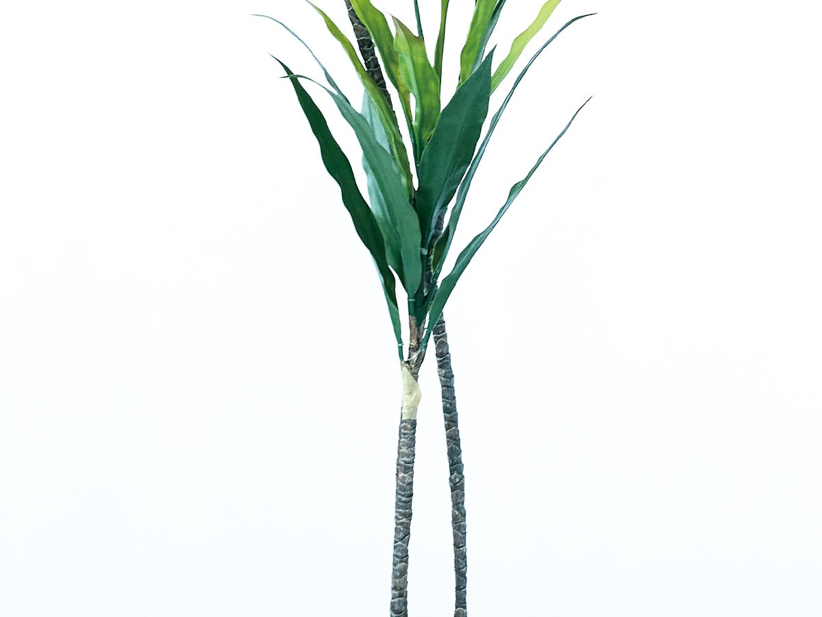 BROWN Dracaena Pot / ブラウン ドラセナ ポット 140 グリーン （花器・プランター・グリーン > フェイクグリーン・フェイクフラワー） 3