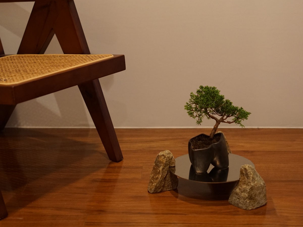 KOKON BONSAI 石の台座 / ココン ボンサイ 石の台座 その肆（よん） （雑貨・その他インテリア家具 > その他インテリア雑貨） 2