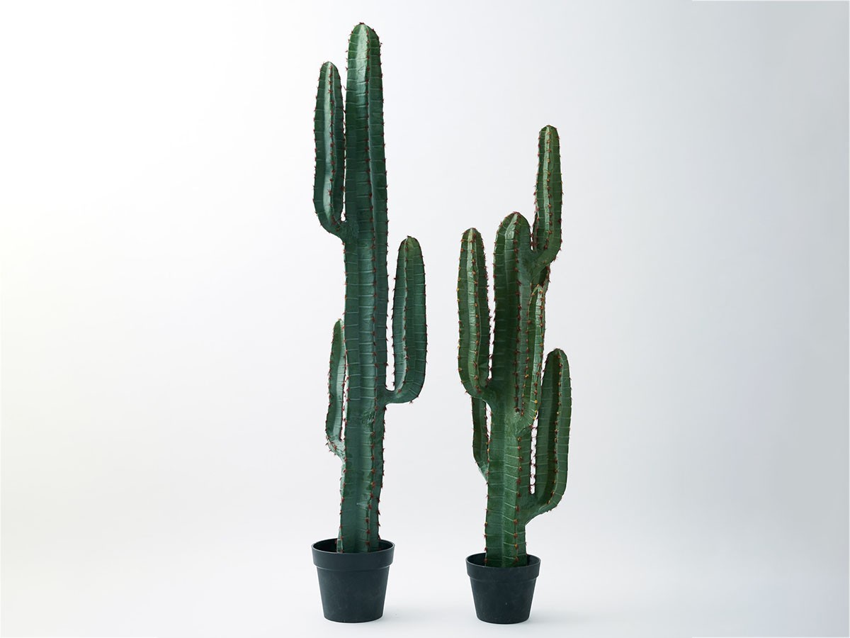 BROWN Column Cactus Pot / ブラウン 柱サボテン ポット 147 （花器・プランター・グリーン > フェイクグリーン・フェイクフラワー） 3