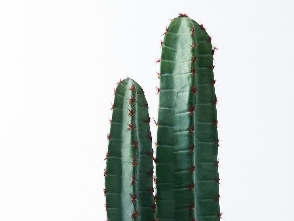 BROWN Column Cactus Pot / ブラウン 柱サボテン ポット 147 （花器・プランター・グリーン > フェイクグリーン・フェイクフラワー） 4