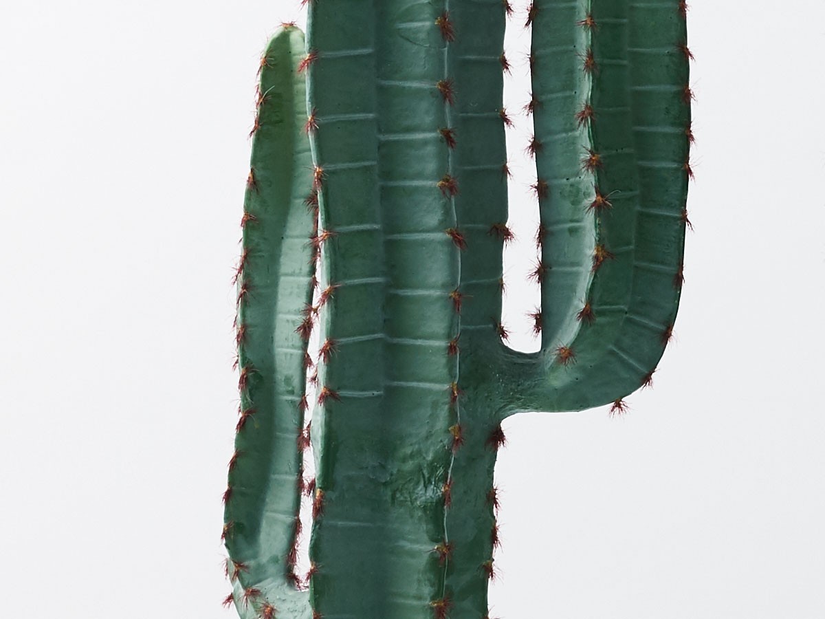 BROWN Column Cactus Pot / ブラウン 柱サボテン ポット 147 （花器・プランター・グリーン > フェイクグリーン・フェイクフラワー） 5