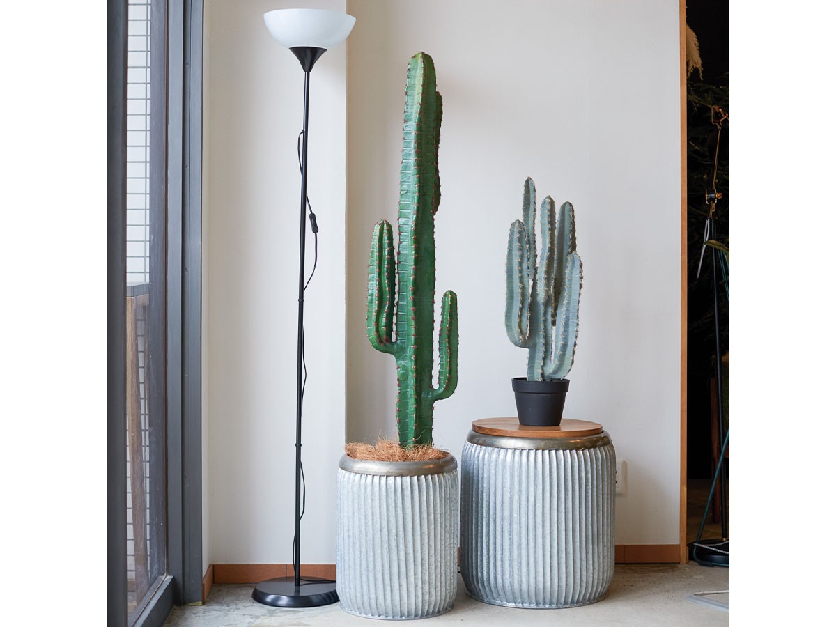 BROWN Column Cactus Pot / ブラウン 柱サボテン ポット 147 （花器・プランター・グリーン > フェイクグリーン・フェイクフラワー） 2