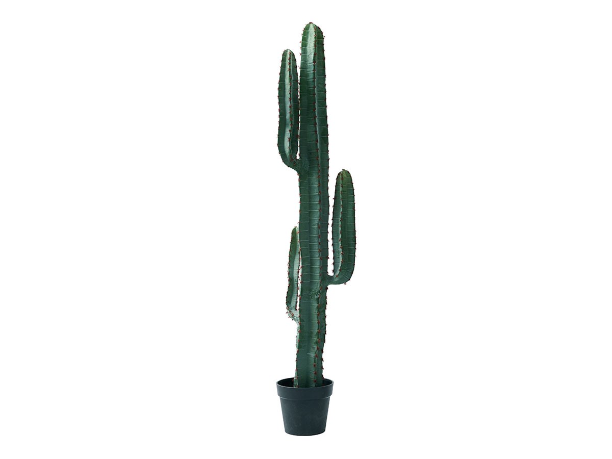 BROWN Column Cactus Pot