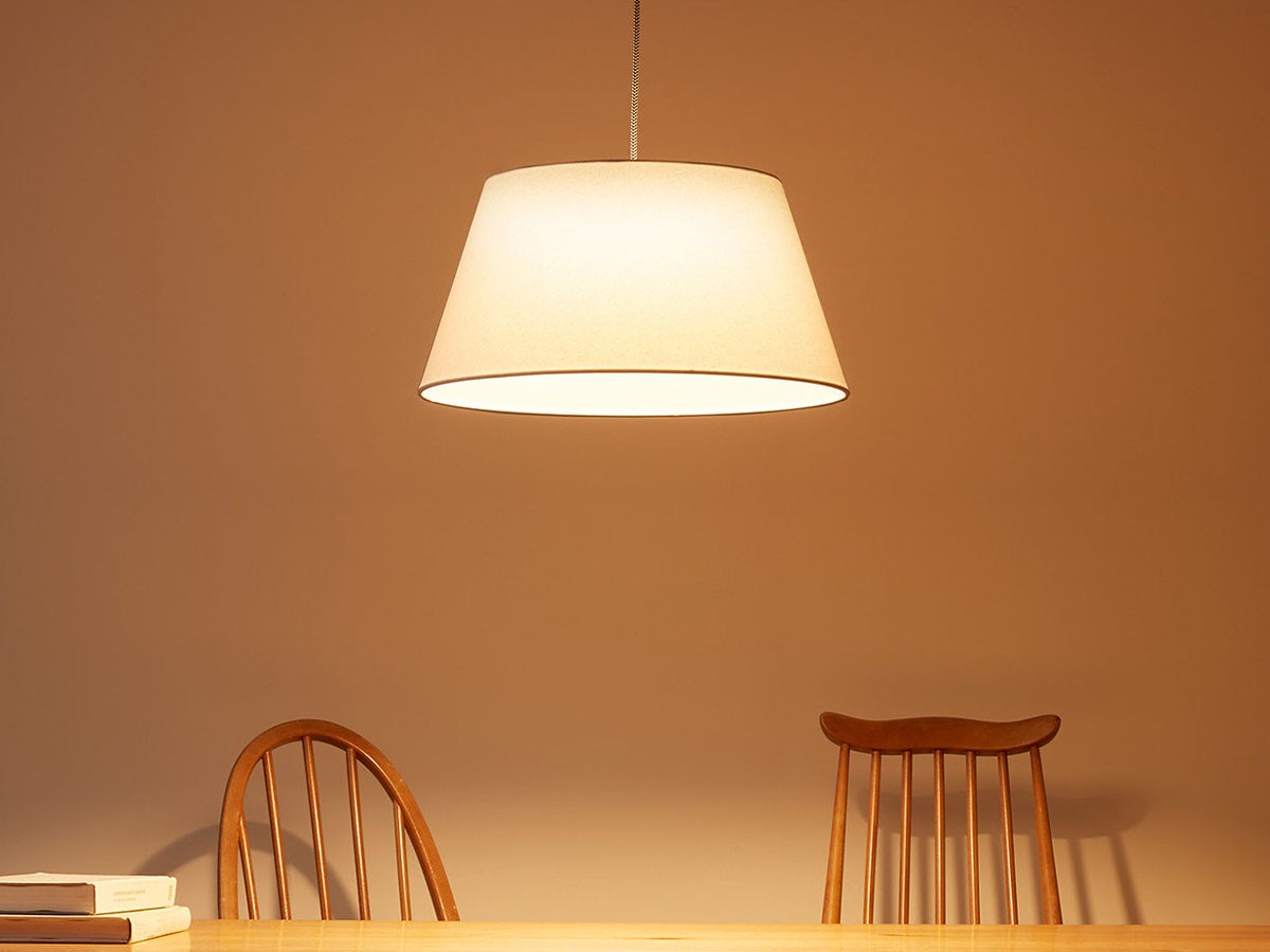 Pendant Light / ペンダントライト #108062 （ライト・照明 > ペンダントライト） 6