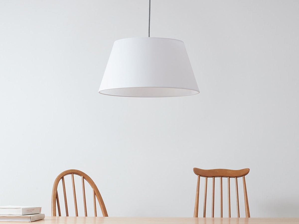 Pendant Light / ペンダントライト #108062 （ライト・照明 > ペンダントライト） 5