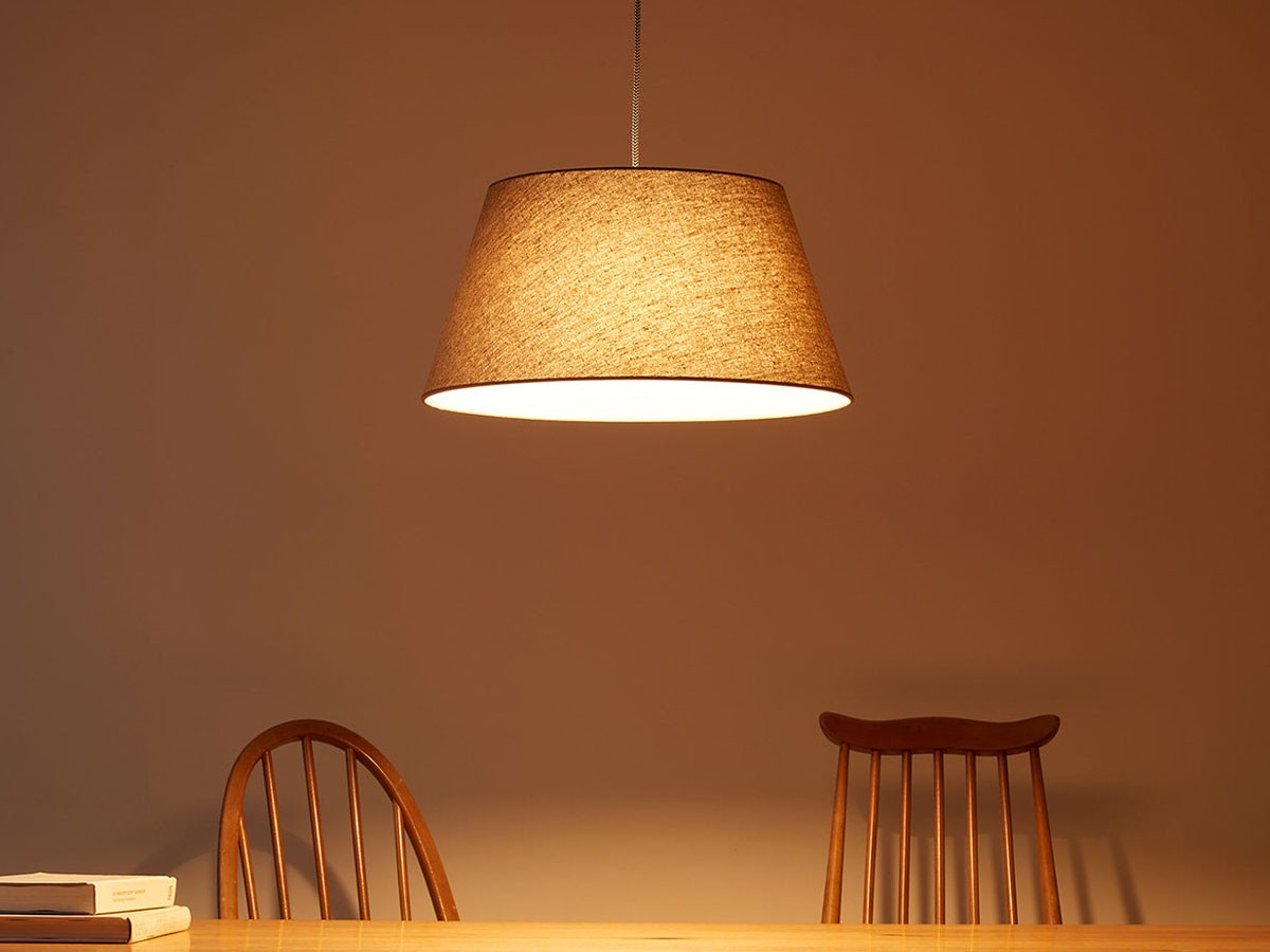 Pendant Light / ペンダントライト #108062 （ライト・照明 > ペンダントライト） 4