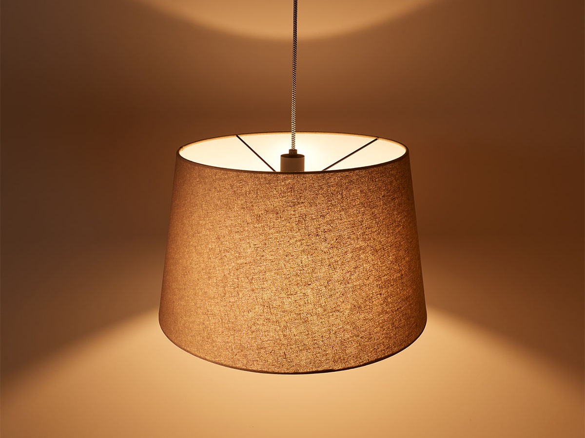 Pendant Light / ペンダントライト #108062 （ライト・照明 > ペンダントライト） 18