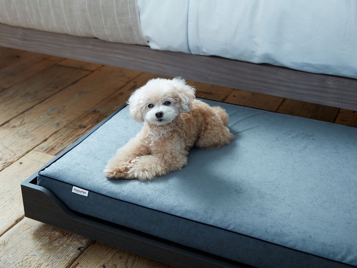 FRANCE PET Pet Bed Wagon inn / フランスペット ペットベッド ワゴン イン （雑貨・その他インテリア家具 > ペット用品・家具） 22