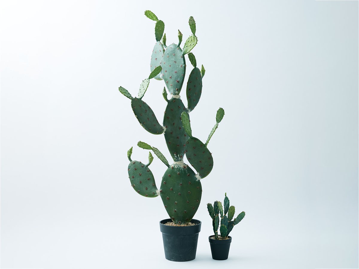 BROWN Prickly Pear Cactus Pot / ブラウン ウチワサボテン ポット 117 （花器・プランター・グリーン > フェイクグリーン・フェイクフラワー） 2