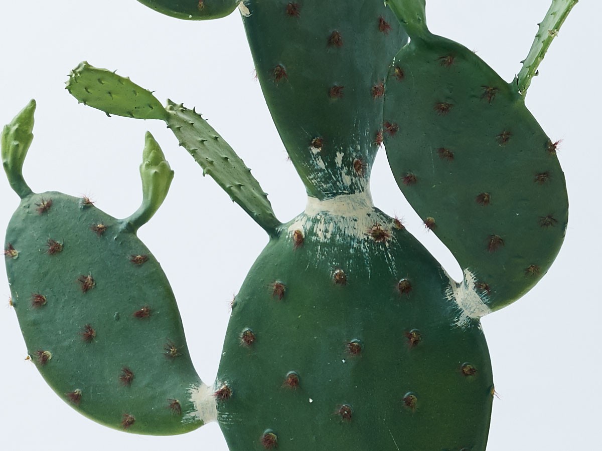 BROWN Prickly Pear Cactus Pot / ブラウン ウチワサボテン ポット 117 （花器・プランター・グリーン > フェイクグリーン・フェイクフラワー） 4