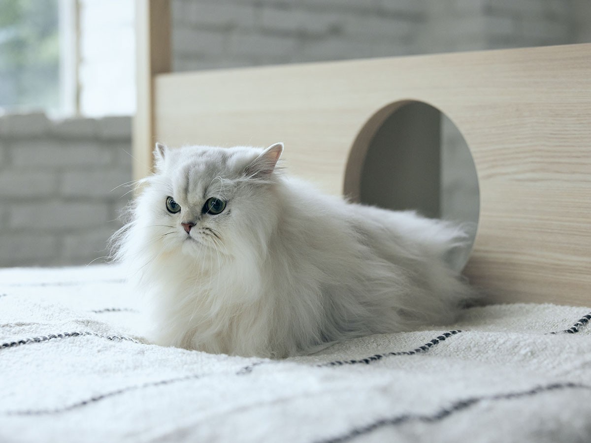 FRANCE PET Cat Tower Bed / フランスペット キャットタワー ベッド （ベッド > シングルベッド） 19