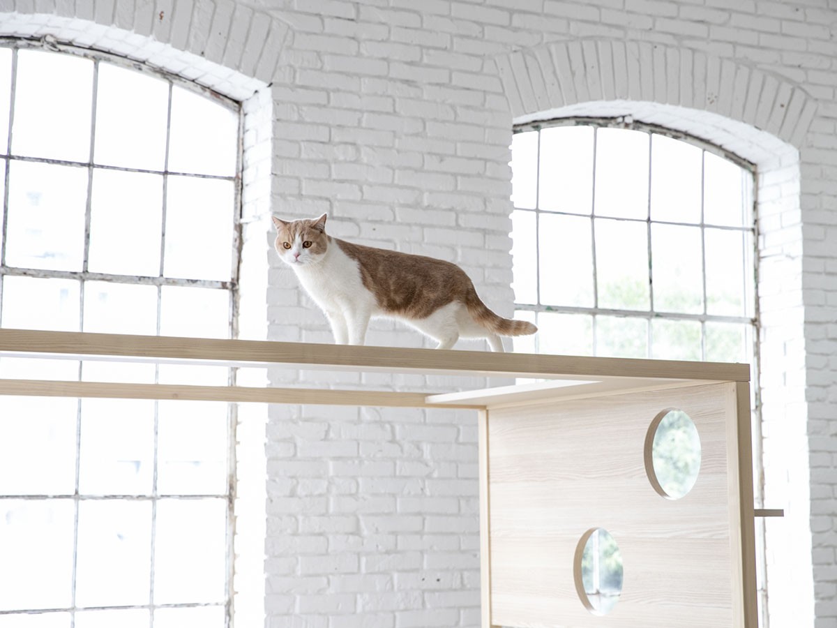 FRANCE PET Cat Tower Bed / フランスペット キャットタワー ベッド （ベッド > シングルベッド） 13
