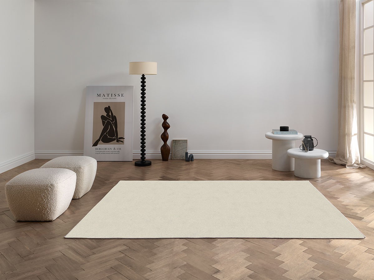 RUG / ラグ #121016 （ラグ・カーペット > ラグ・カーペット・絨毯） 2