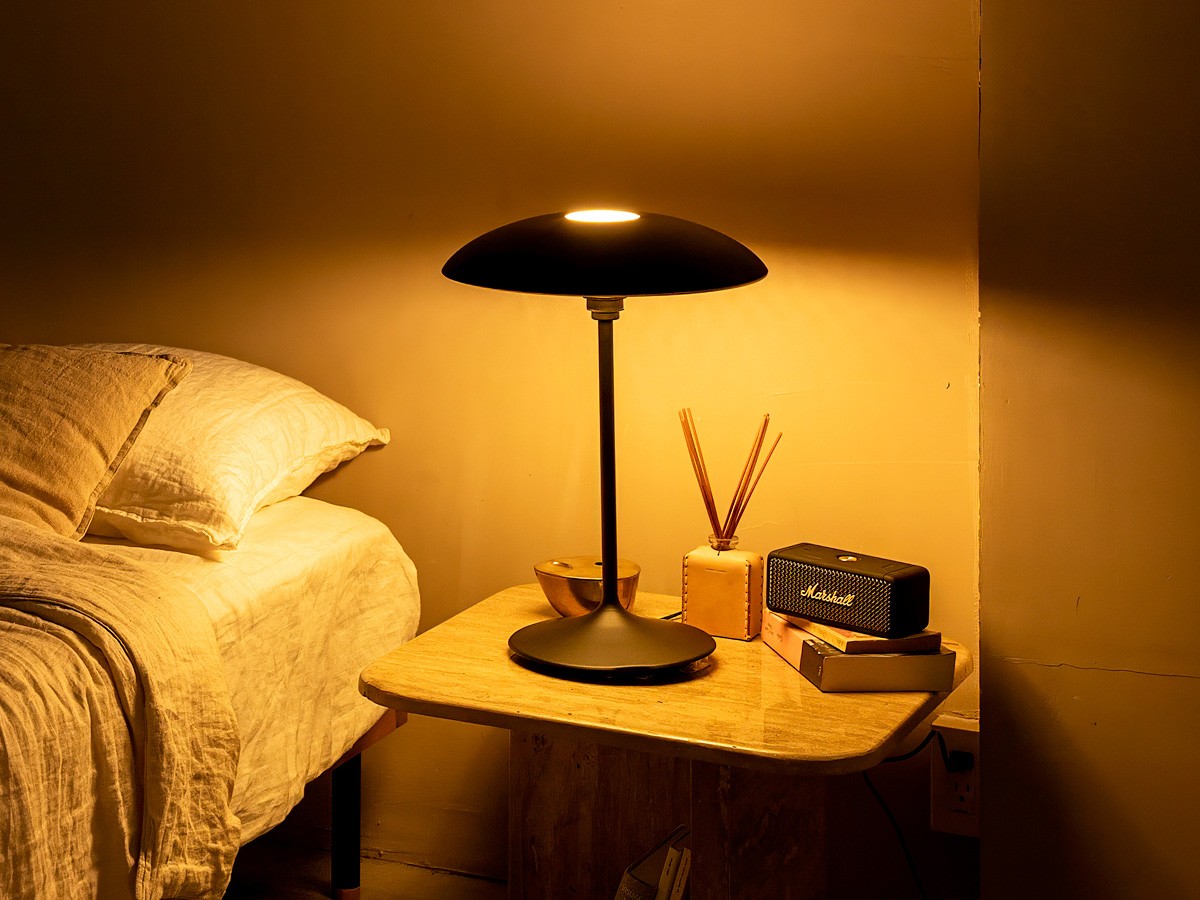 UMAGE Manta Ray Floor / ウメイ マンタ レイ フロア （ライト・照明 > フロアライト・フロアスタンド） 10