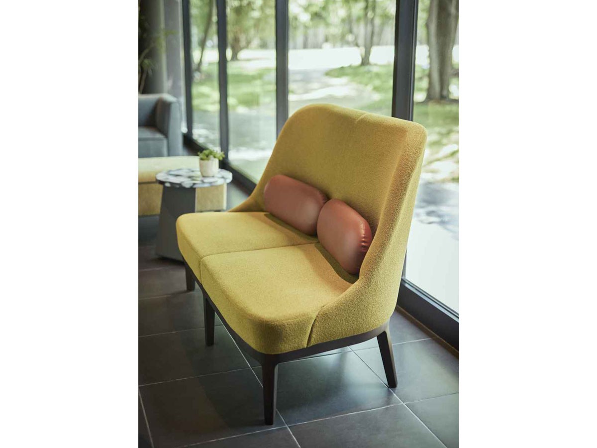 ABORD 2P SOFA / アボール 2人掛けソファ F010-2 （ソファ > 二人掛けソファ） 5