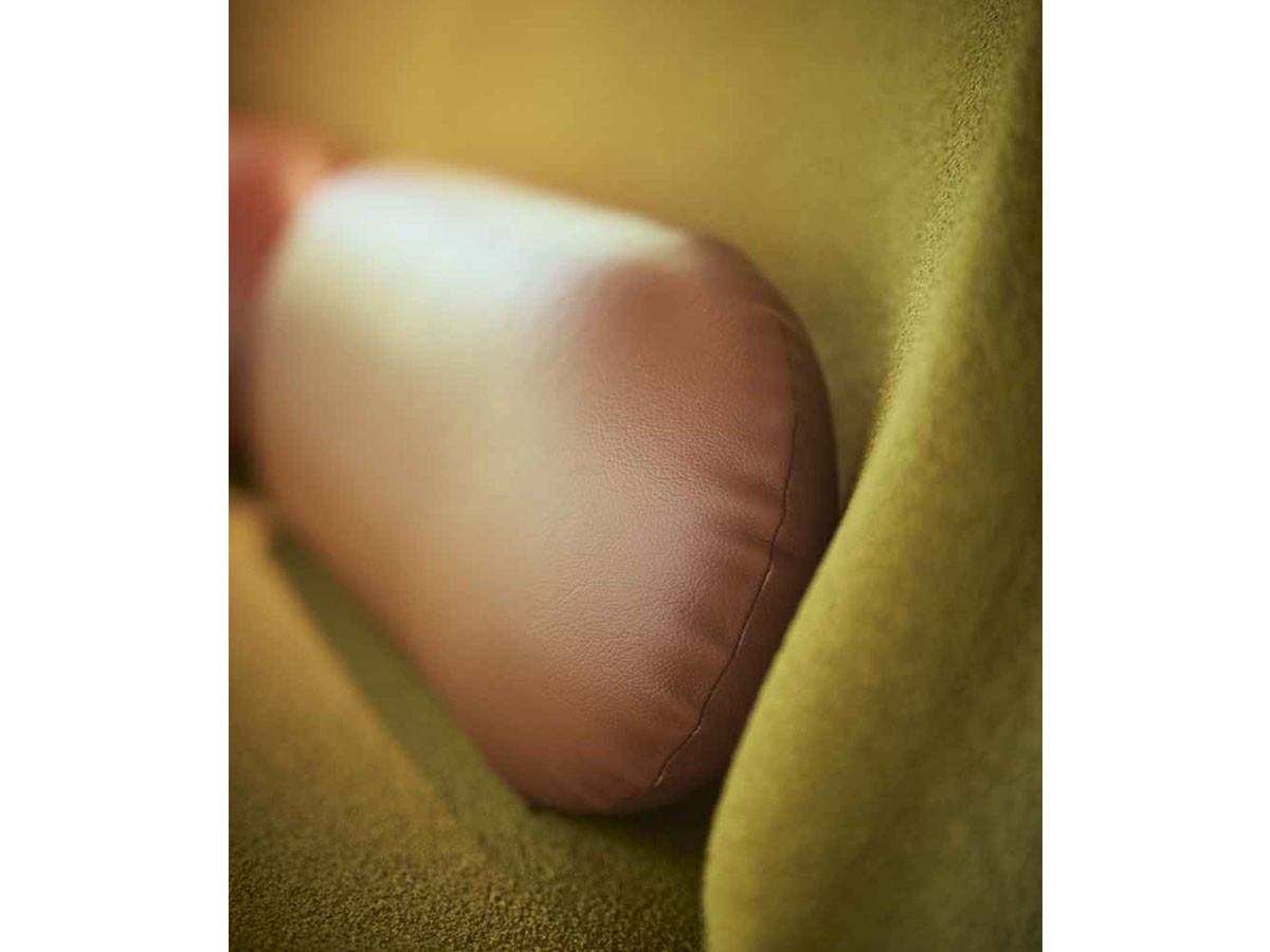 ABORD 2P SOFA / アボール 2人掛けソファ F010-2 （ソファ > 二人掛けソファ） 6