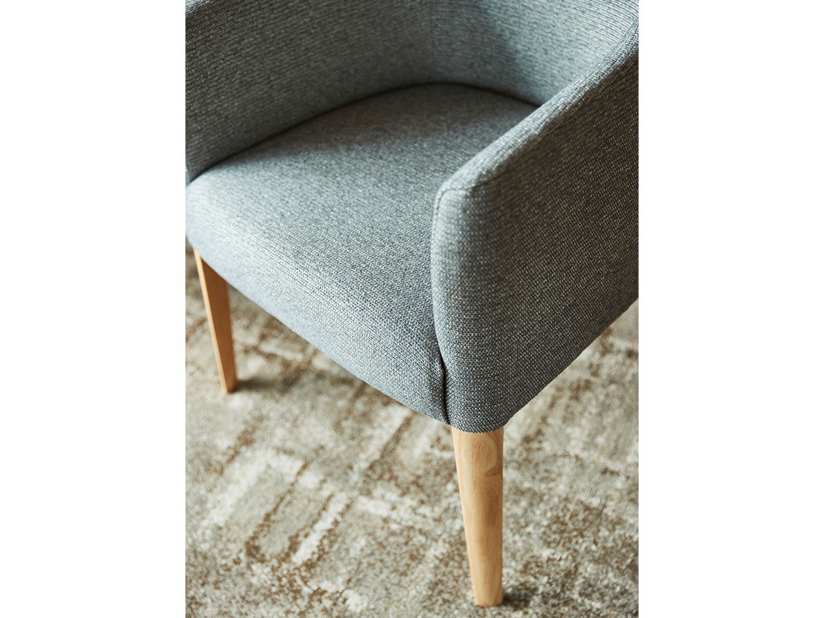 ABORD Arm Chair / アボール アームチェア W036 （チェア・椅子 > ダイニングチェア） 5