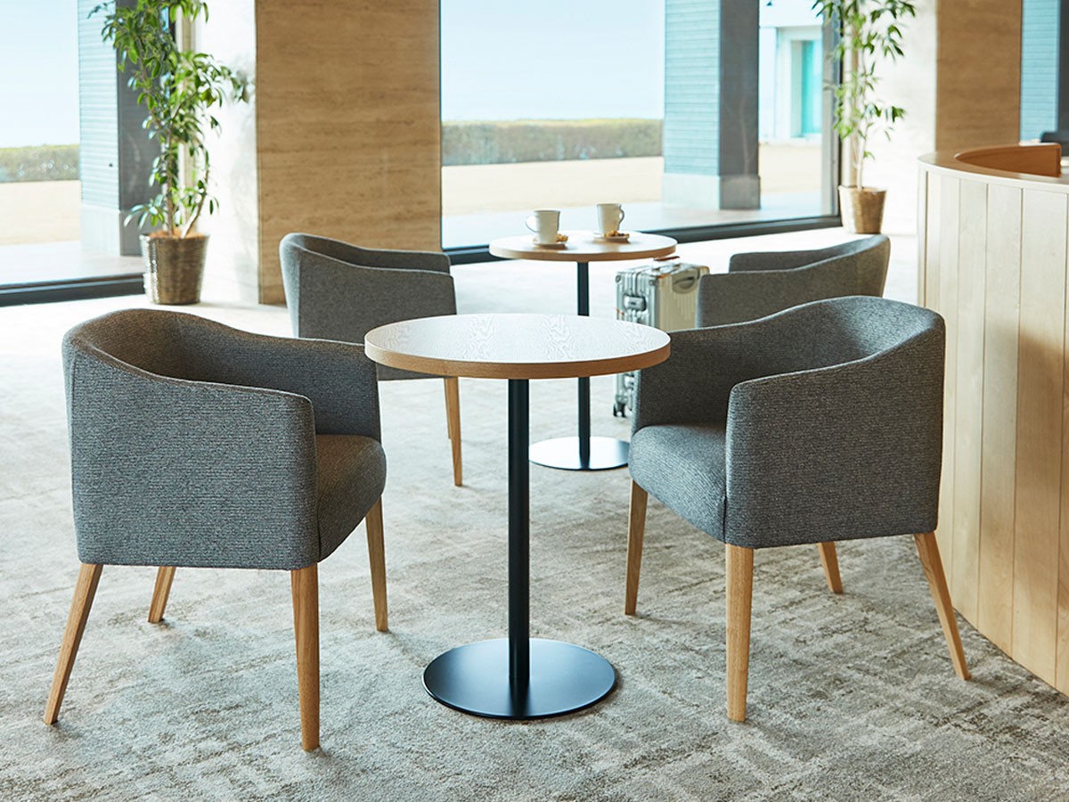 ABORD Arm Chair / アボール アームチェア W036 （チェア・椅子 > ダイニングチェア） 2