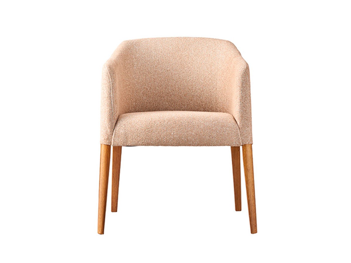 ABORD Arm Chair / アボール アームチェア W036 （チェア・椅子 > ダイニングチェア） 12