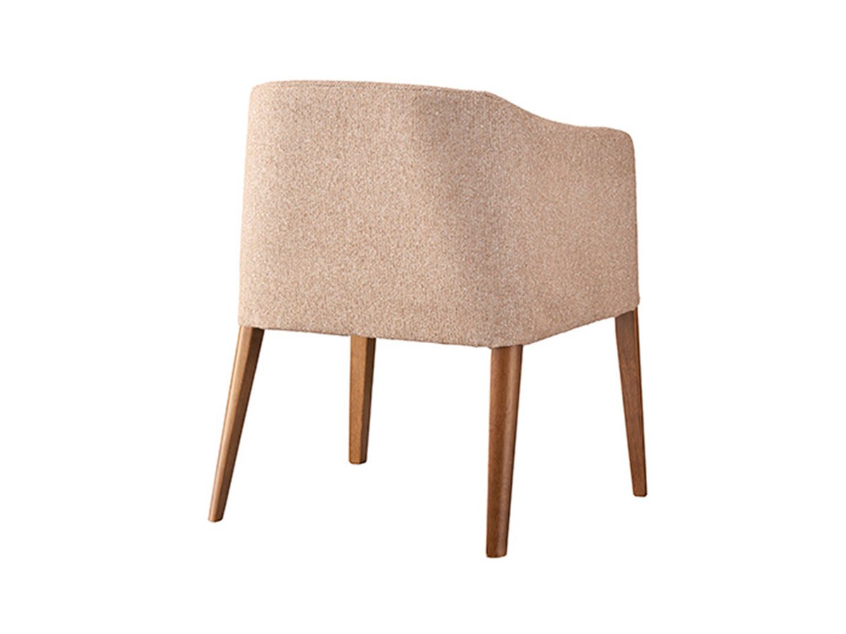 ABORD Arm Chair / アボール アームチェア W036 （チェア・椅子 > ダイニングチェア） 13