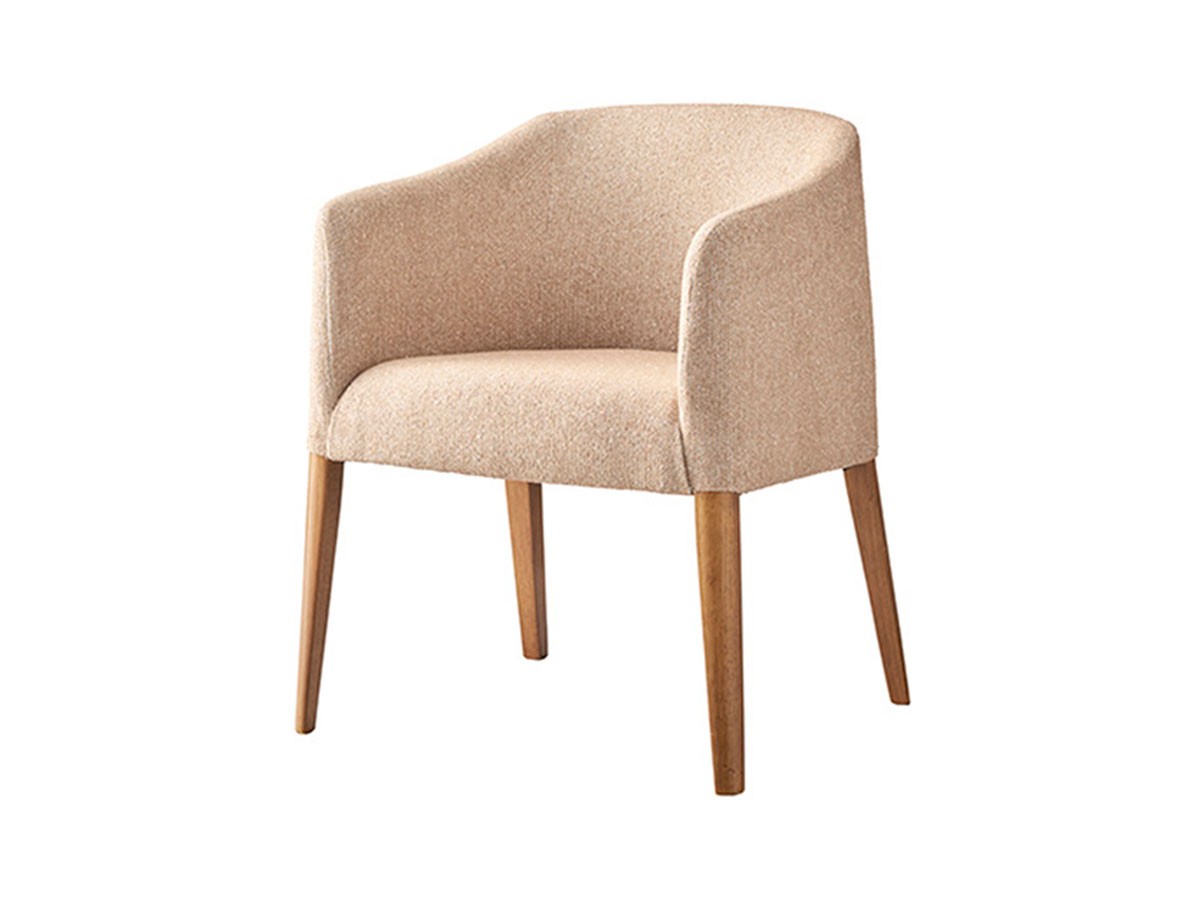 ABORD Arm Chair / アボール アームチェア W036 （チェア・椅子 > ダイニングチェア） 11