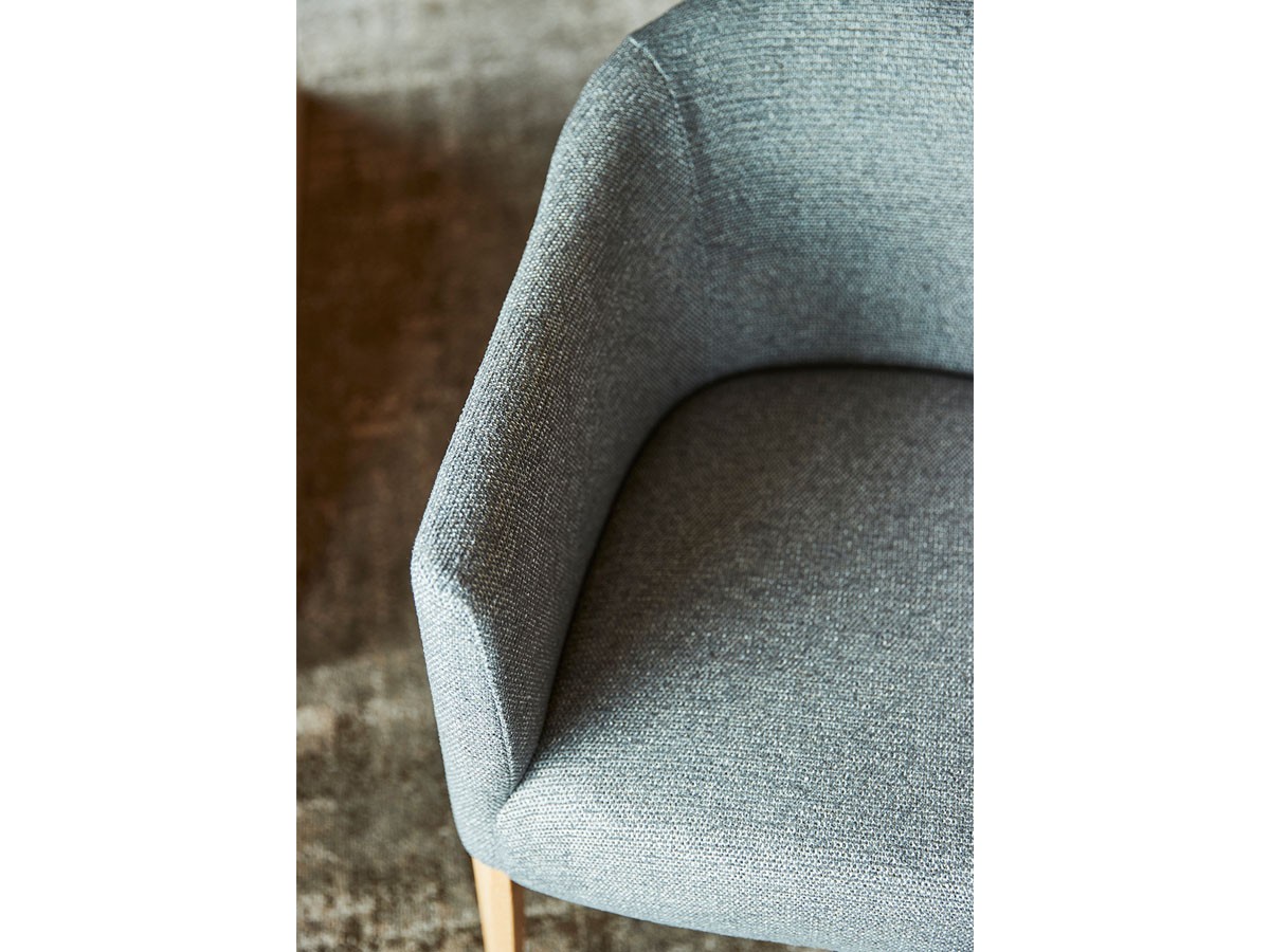 ABORD Arm Chair / アボール アームチェア W036 （チェア・椅子 > ダイニングチェア） 6