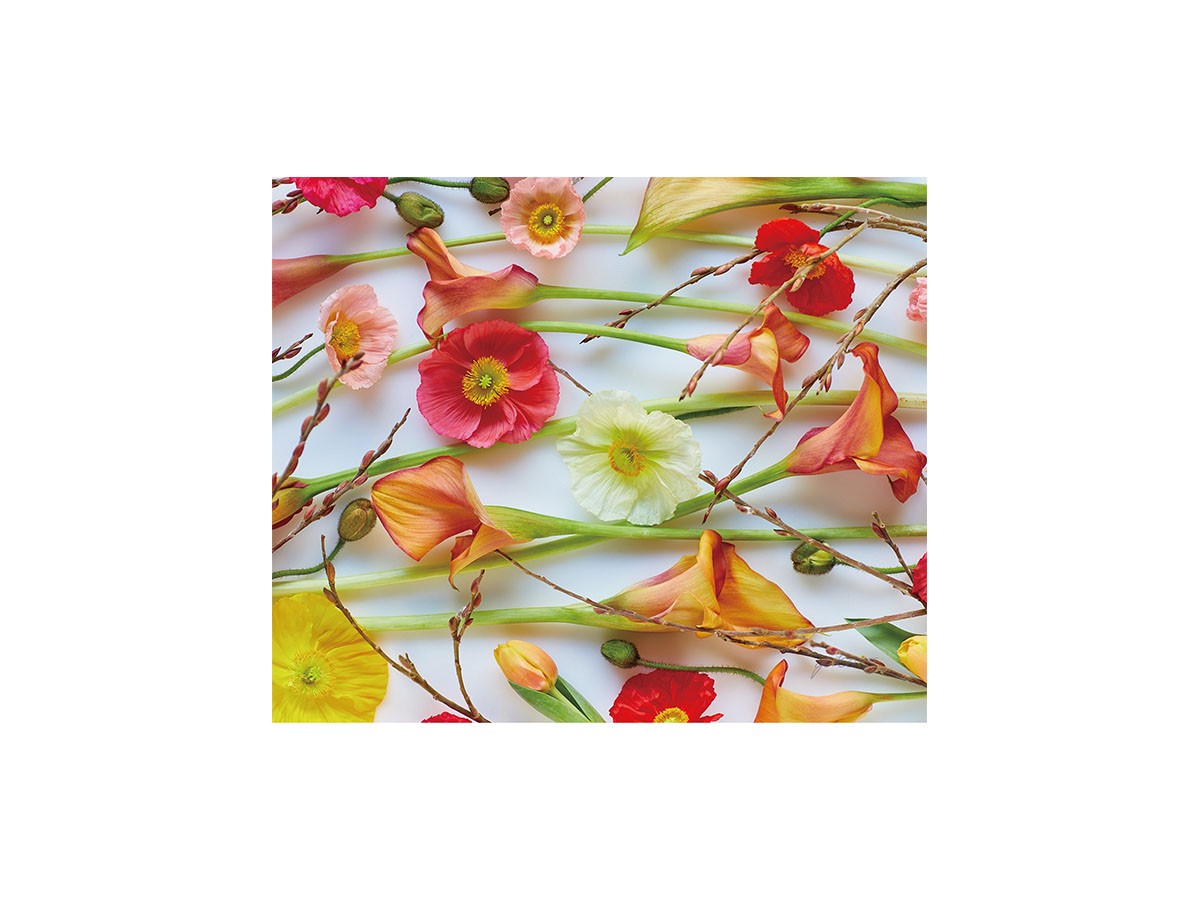 Pastel Bloom Poppy&Calla