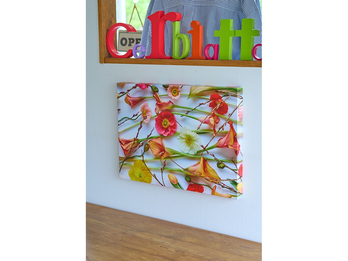 YOKO Takeuchi Pastel Bloom Poppy&Calla / ヨウコ タケウチ パステルブルーム ポピー＆カラー レクタングルM （アート・オブジェ > フォトパネル・フォトアート） 4