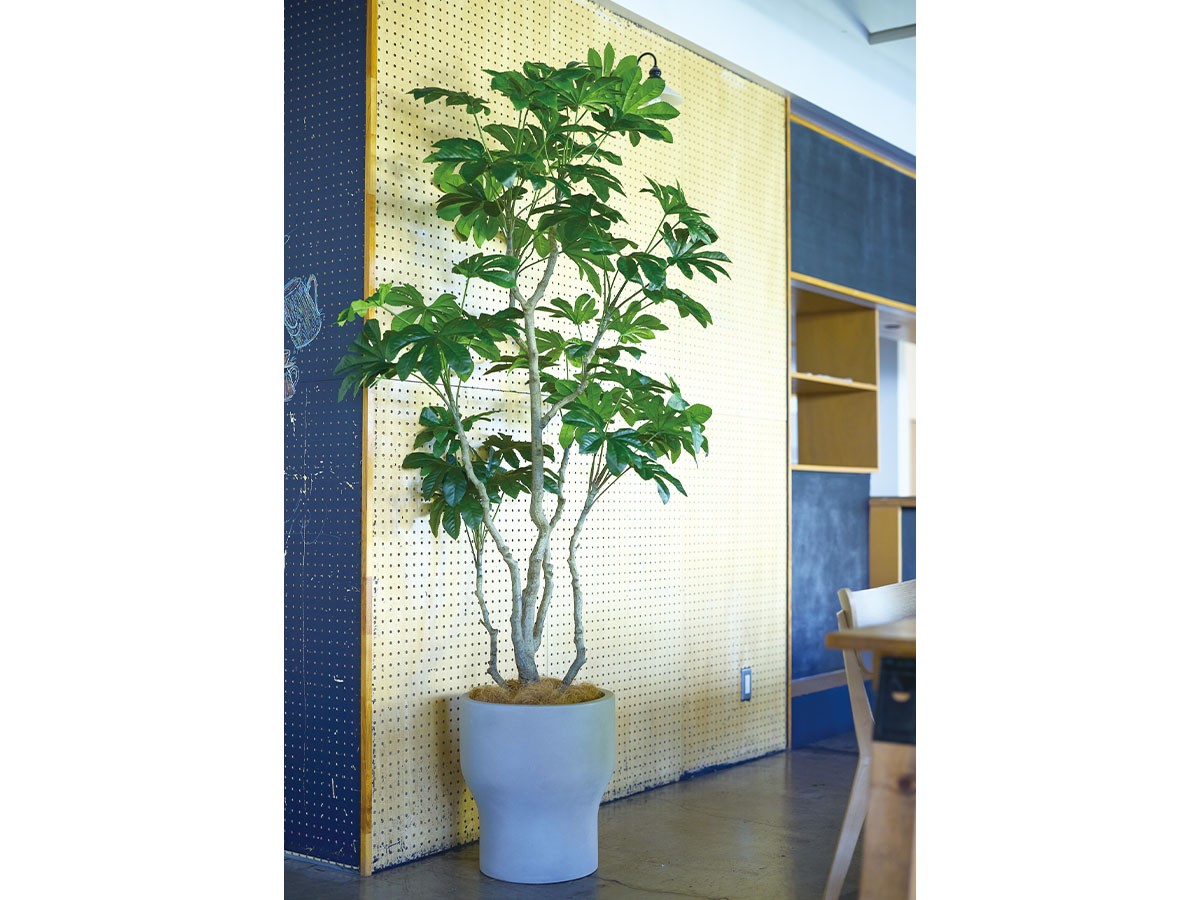 BROWN Japanese Aralia Pot / ブラウン ヤツデ ポット 145 （花器・プランター・グリーン > フェイクグリーン・フェイクフラワー） 7
