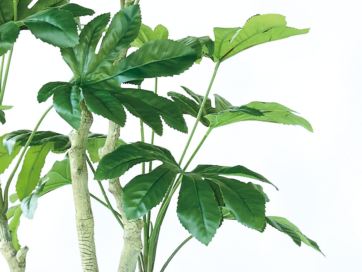 BROWN Japanese Aralia Pot / ブラウン ヤツデ ポット 145 （花器・プランター・グリーン > フェイクグリーン・フェイクフラワー） 5
